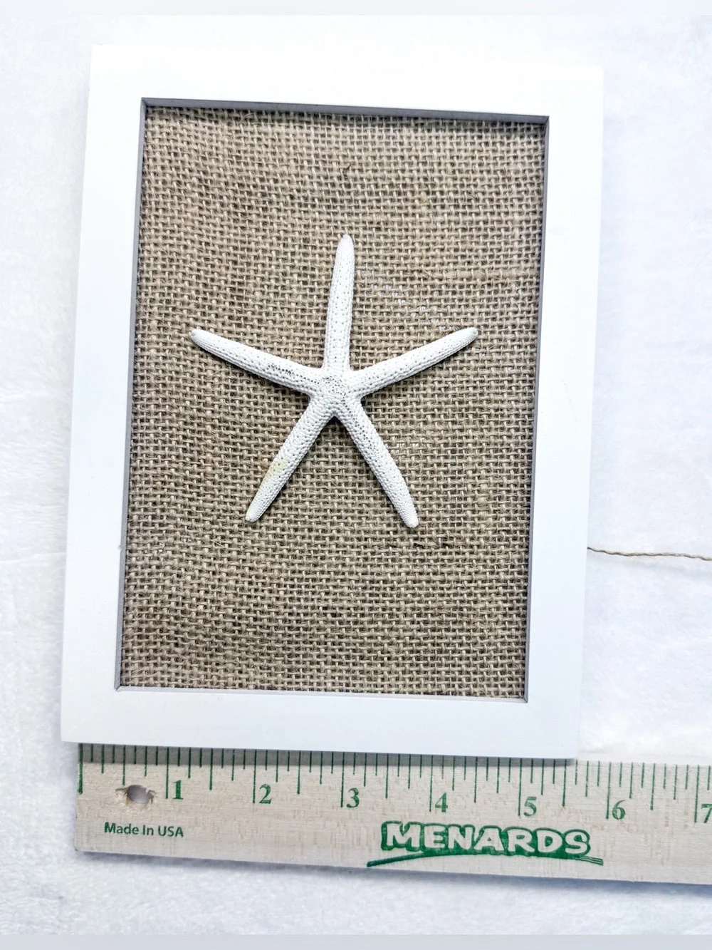 Coastal Seashell Wall Art Set of 3 Framed Beach Decor Burlap Background